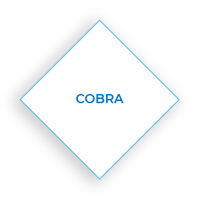 COBRA - Benefits - Bankers Cooperative Group